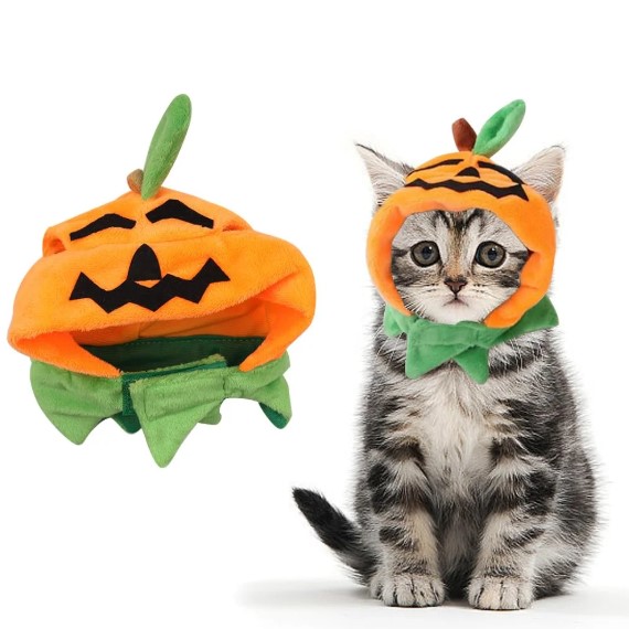 Feline Frights: Safely Dressing Your Cat for a Purrfect Halloween